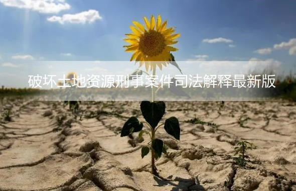 破坏土地资源刑事案件司法解释最新版