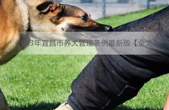 2023年宜昌市养犬管理条例最新版【全文】