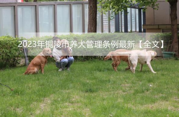 2023年铜陵市养犬管理条例最新【全文】