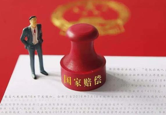 国家赔偿要件剖析：损害、因果、责任的全面解读 (国家赔偿要件有哪些)